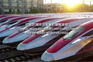 التعاون مع أفضل الشركات في العالم ، بناء مشروع تحويل كهربة السكك الحديدية هاي تونغ
